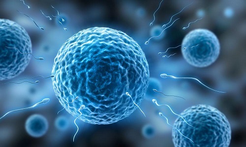 俄羅斯試管嬰兒多少錢